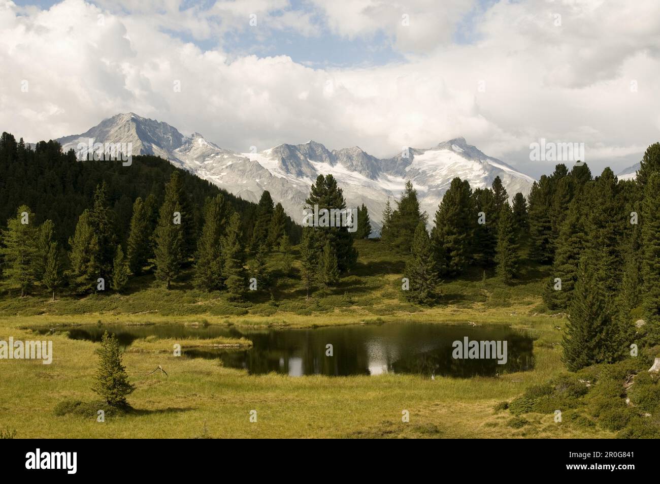 Wandergebiet Speikboden, Sand in Taufers, Tauferer Tal, Südtirol, Italien Stockfoto