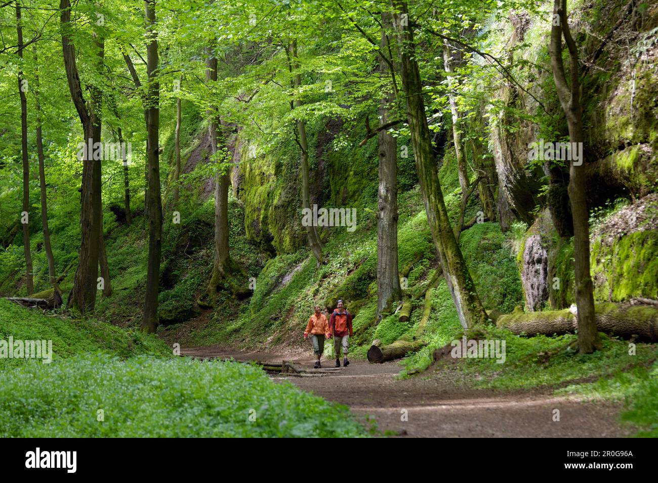 Paar Wandern im Thüringer Wald, in der Nähe von Eisenach, Thüringen, Deutschland Stockfoto