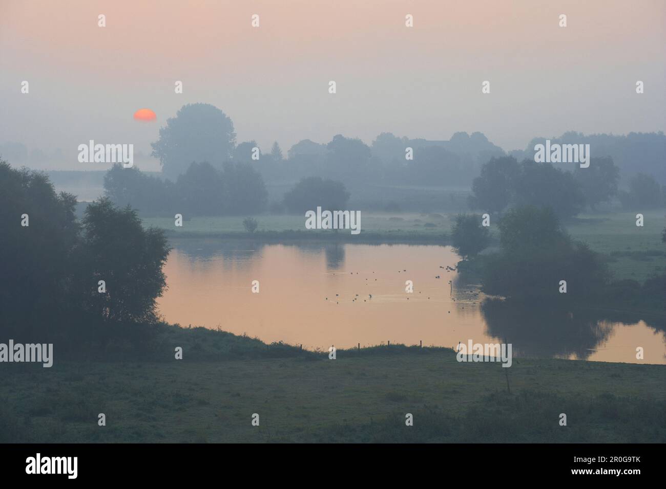 Sonnenaufgang über dem Rhein-Hochwasser, Rees, Nordrhein-Westfalen, Deutschland Stockfoto