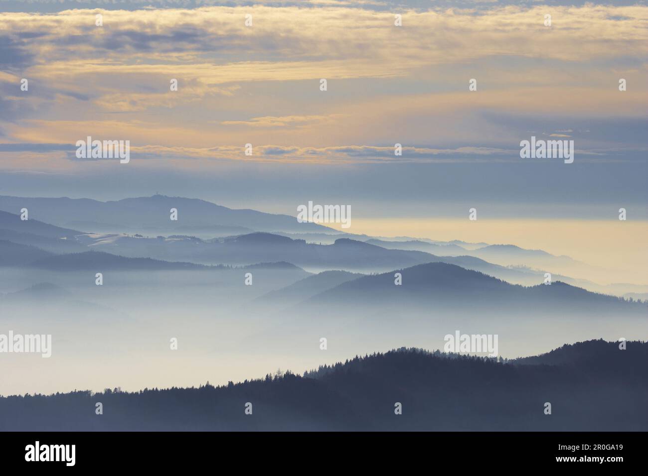 Winterabend auf dem Kandel, Blauen, Nebel, Schwarzwald, Baden-Württemberg, Deutschland, Europa Stockfoto