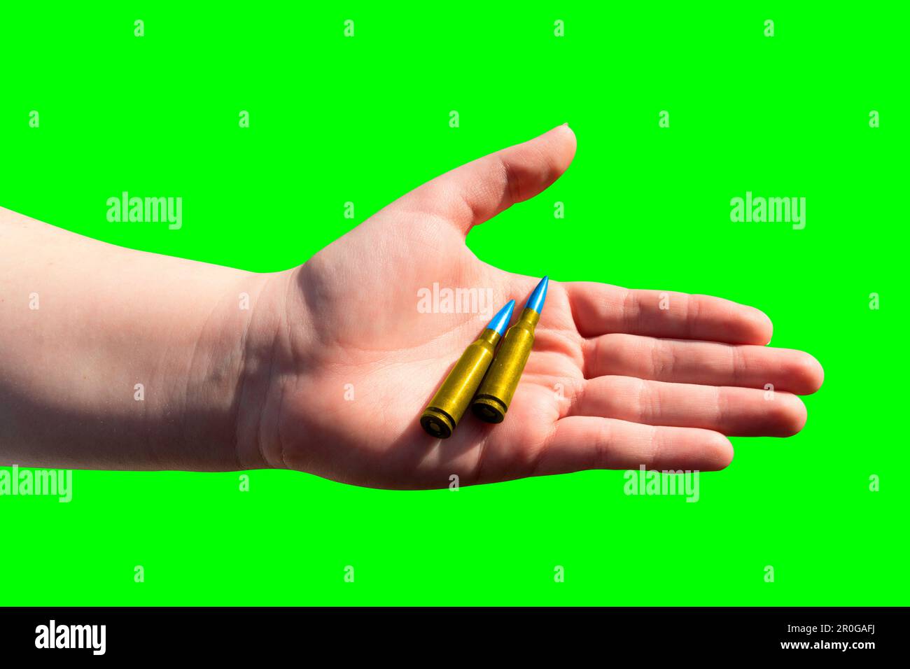Zwei gelb-blaue Patronen in einer Hand auf grünem Hintergrund (Chroma-Taste). Nationale Symbole der Ukraine. Das Konzept der militärischen Unterstützung für die Ukraine Stockfoto