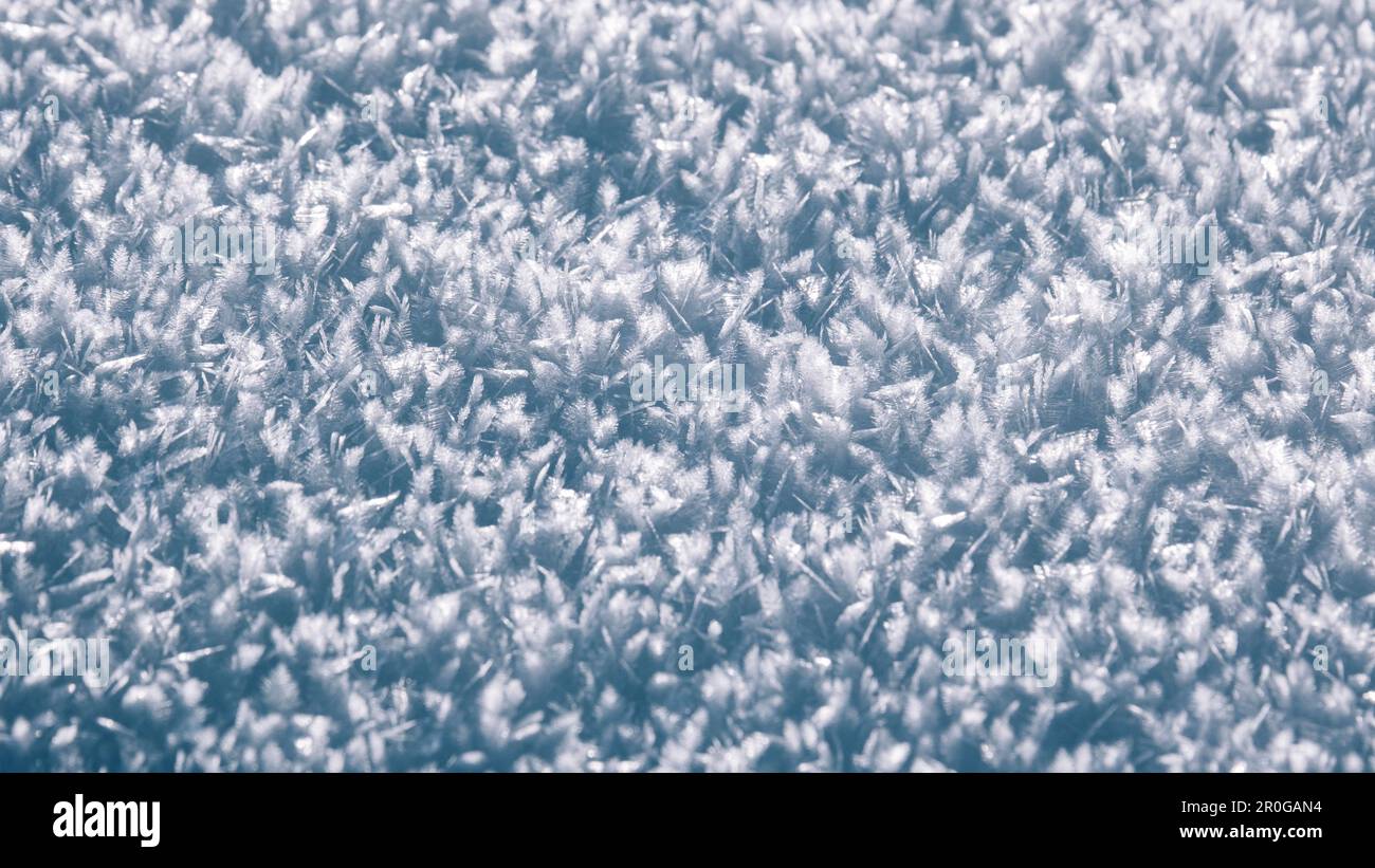 Makrobild von Schneeflocken im Winter Stockfoto