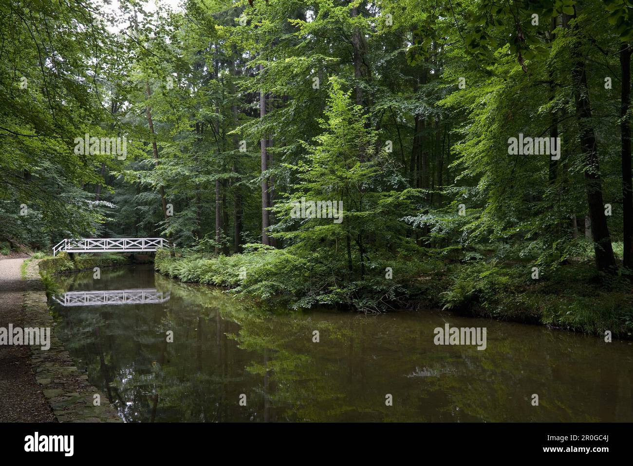 Landschaftsgarten im Seifersdorfer Tal, Wachau, Seifersdorf in der Nähe von Dresden, Sachsen, Deutschland, Europa Stockfoto