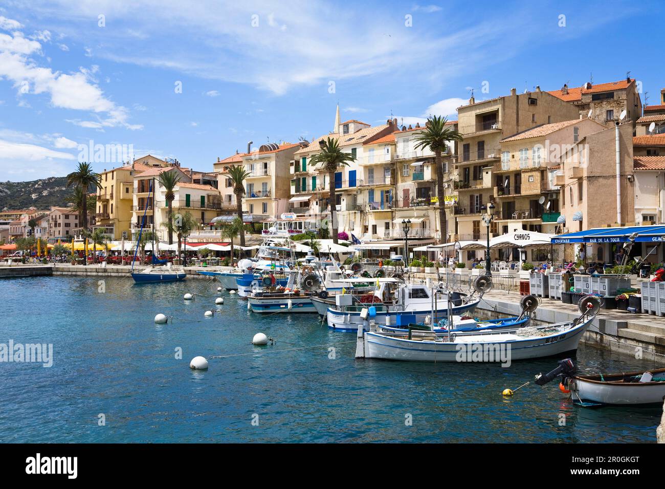 Promenade am Hafen von Calvi, Korsika, Frankreich, Europa Stockfoto