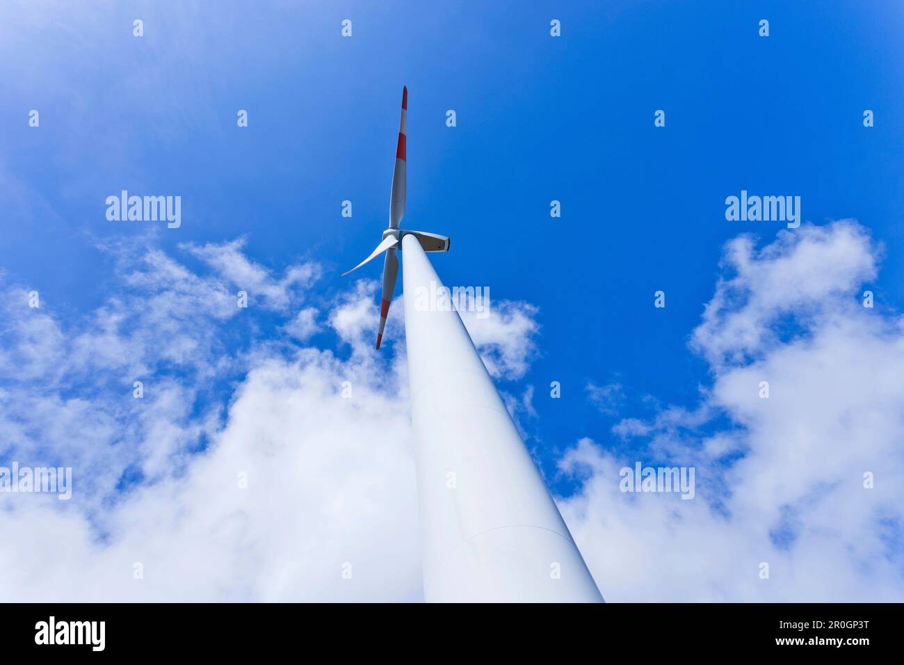 Niederwinkelansicht des Windmotors, Schwarzwald, Baden Württemberg, Deutschland, Europa Stockfoto