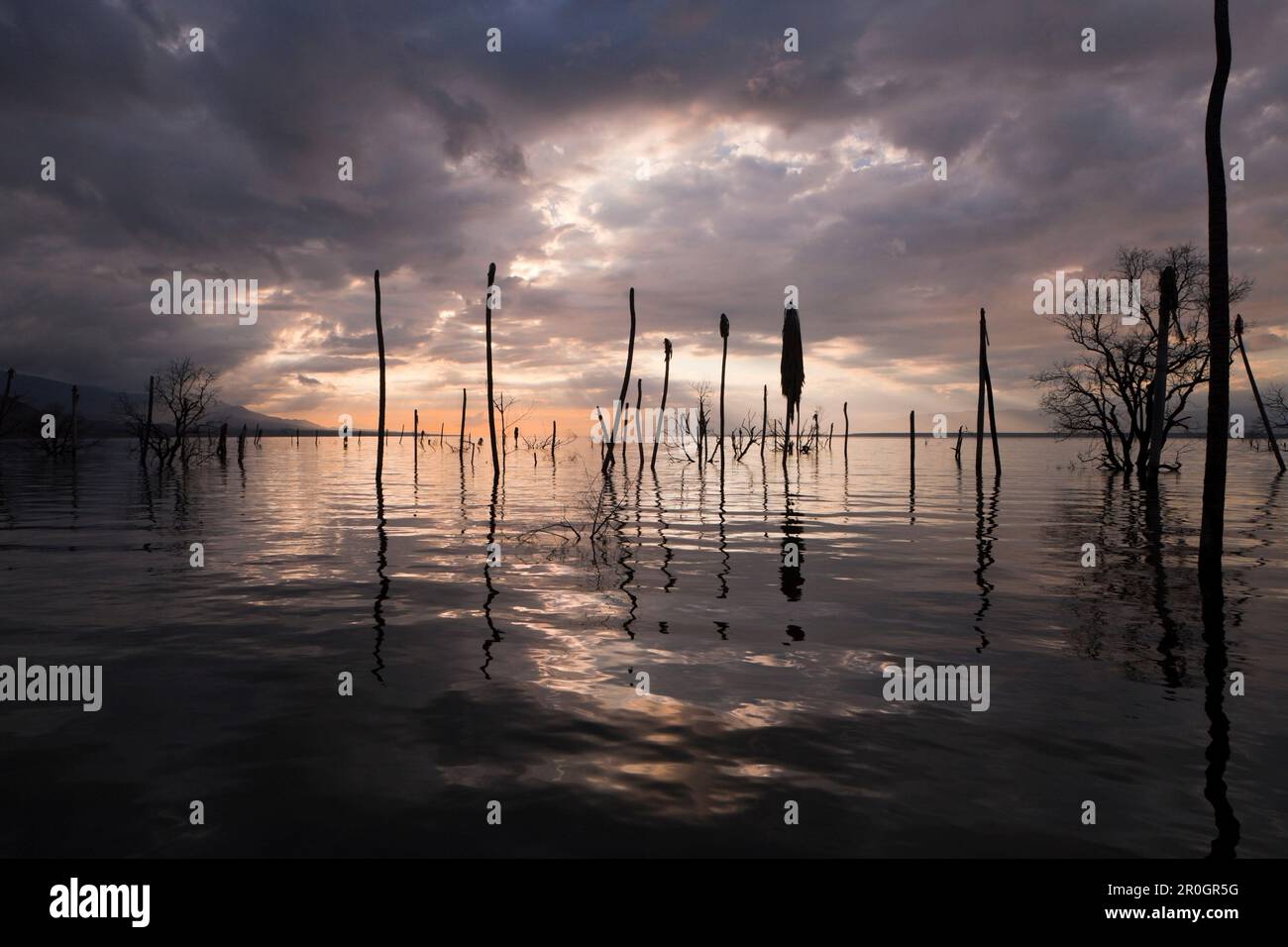 Impressionen vom Saltlake Lago Enriquillo, der Nationalpark Isla Cabritos, Dominikanische Republik Stockfoto