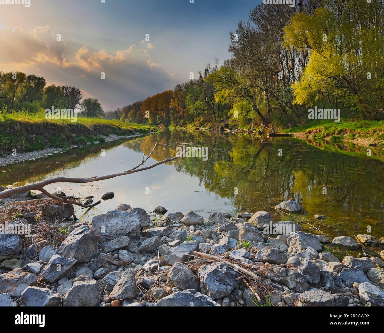 Alter Flussarm der Donau-Auen, Donau-Auen-Nationalpark, Niederösterreich, Österreich Stockfoto