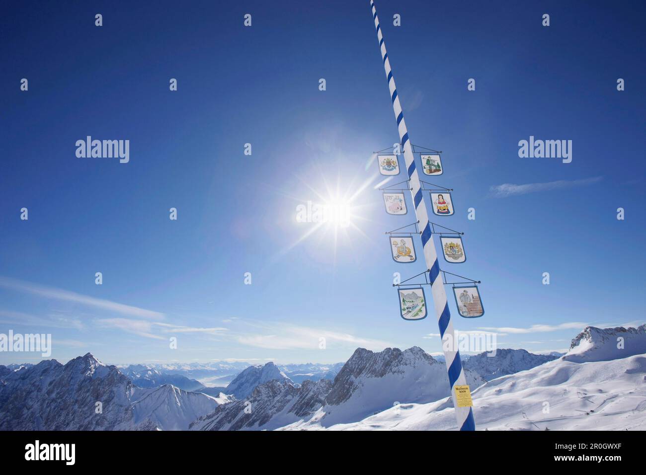 Mai-Baum am Sonnalpin, Blick auf dem Zugspitzplateau, Zugspitze, Bayern, Deutschland Stockfoto