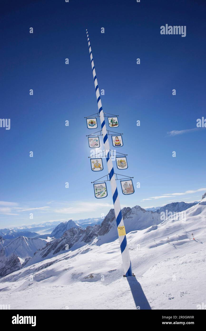 Mai-Baum am Sonnalpin, Blick auf dem Zugspitzplateau, Zugspitze, Bayern, Deutschland Stockfoto