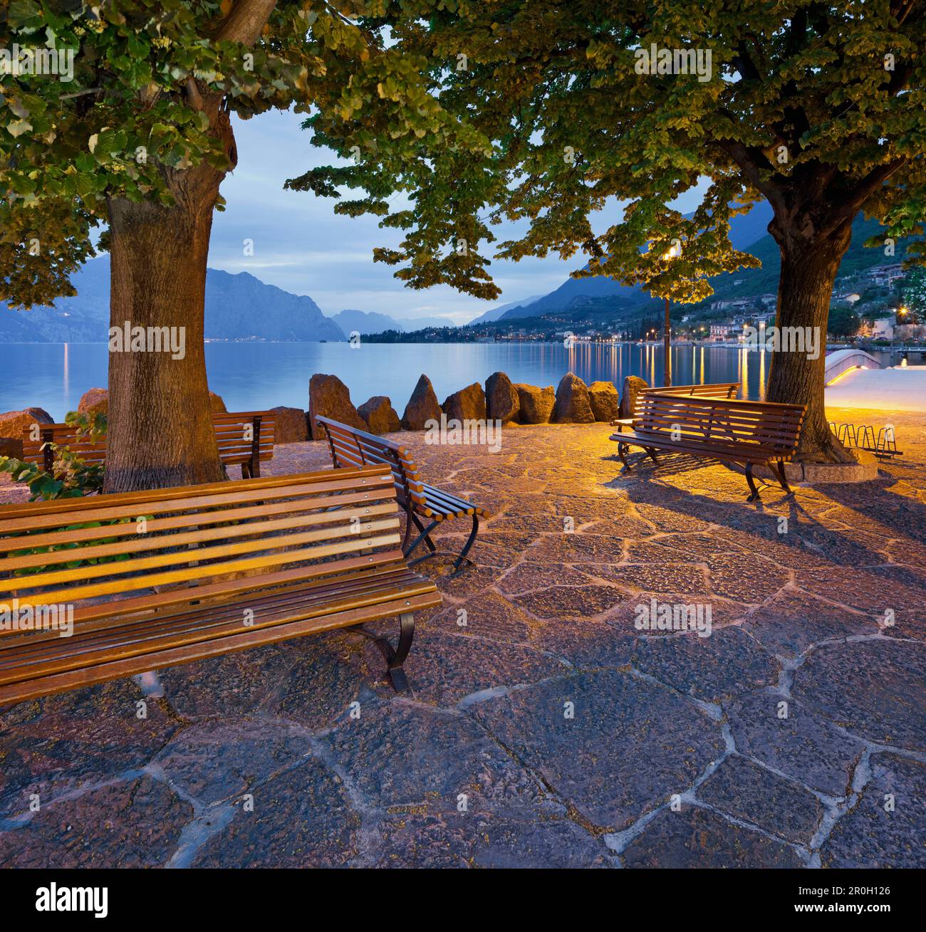 Bänke unter Bäumen entlang der Ufer des Gardasees, Cassone, Malcesine, Veneto, Italien Stockfoto