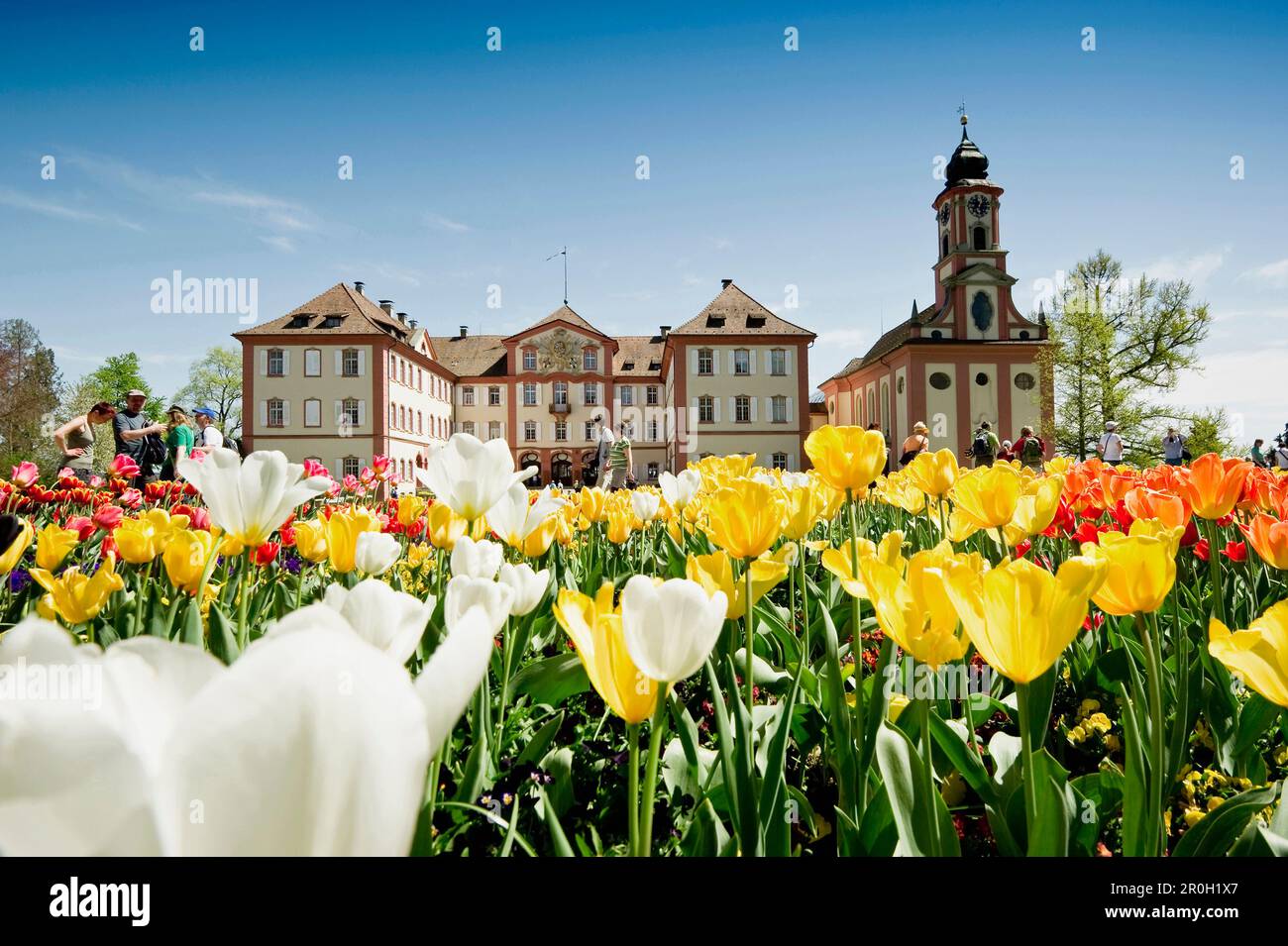 Blumenwiese mit Tulpen und Schloss Mainau, Insel Mainau, Bodensee, Baden-Württemberg, Deutschland, Europa Stockfoto