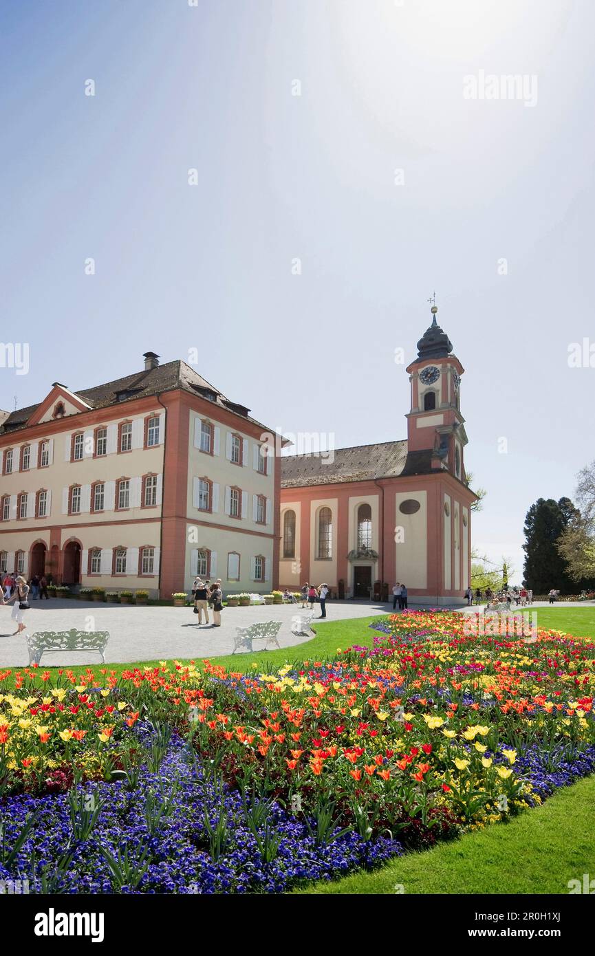 Blumenwiese mit Tulpen und Schloss Mainau, Insel Mainau, Bodensee, Baden-Württemberg, Deutschland, Europa Stockfoto