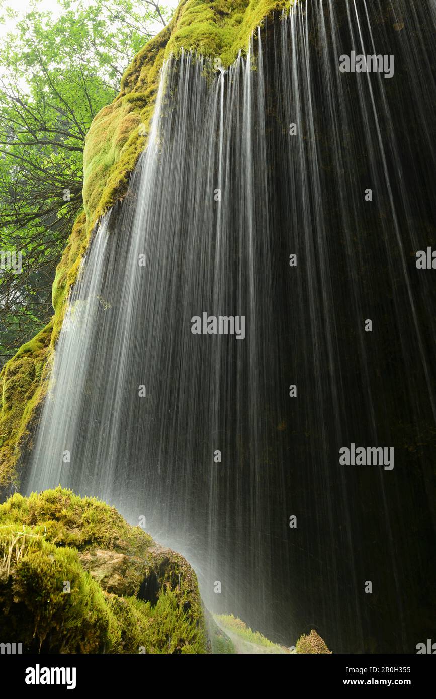 Wasser läuft über eine moosbedeckte Felswand, Schleierfall, Schleier Wasserfall, Ammer, Pfaffenwinkel, Garmisch, Oberbayern, Bayern, Deutschland Stockfoto