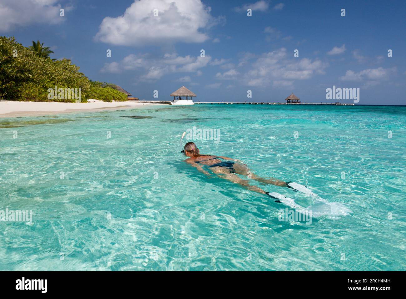 Schnorcheln in der Lagune der Insel Eriyadu, Nordmännliches Atoll, Malediven Stockfoto