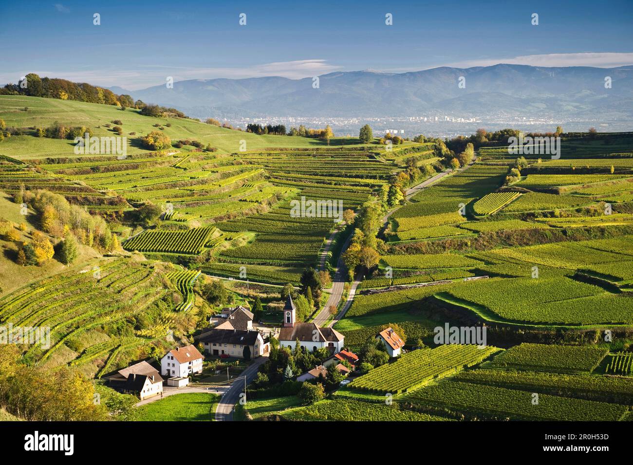 Hügel und Weinberge in Vogtsburg, im Hintergrund Freiburg im Breisgau und Schwarzwald, Kaiserstuhl, Baden-Württemberg, Deutschland, Europa Stockfoto