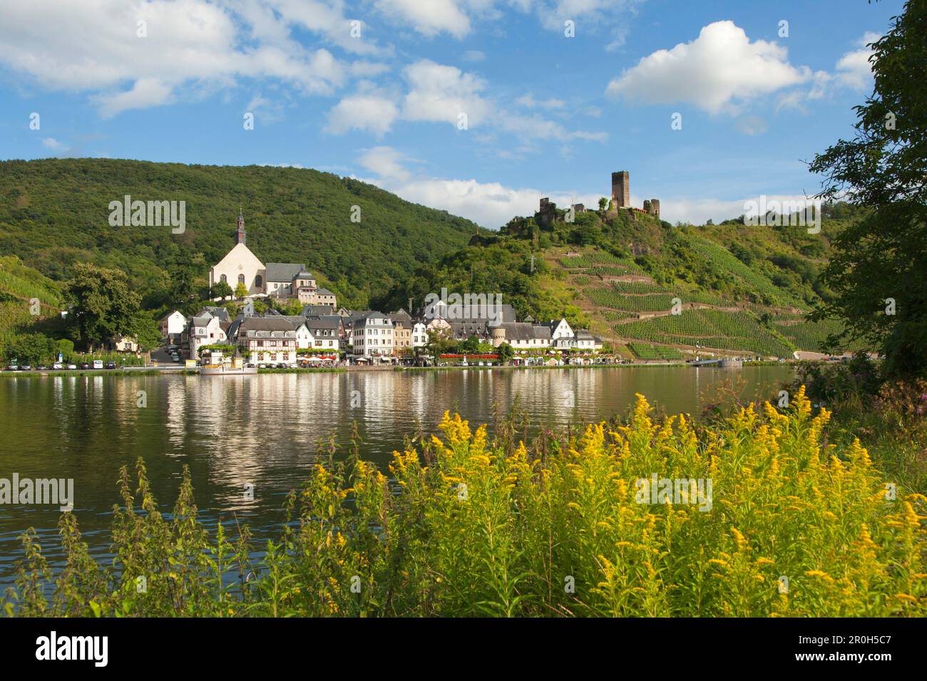 Beilstein und Metternich Burg, Fluss Mosel, Rheinland-Pfalz, Deutschland Stockfoto