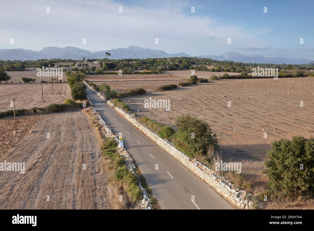 Landstrasse MA-3140 zwischen abgeernteten Feldern, was zu Thorp Cas Canar, südlich von Sencelles, Mallorca, Balearen, Spanien Stockfoto