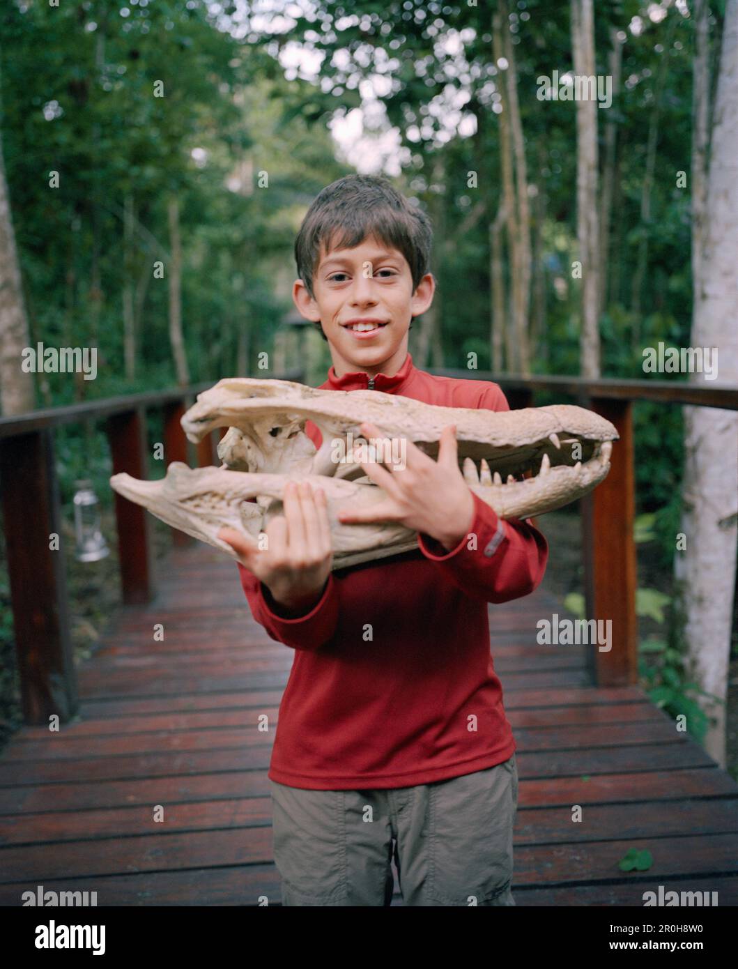 PERU, Regenwald des Amazonas, Südamerika, Lateinamerika, Portrait von Asa Conover, ein Cayman Schädel im Posada Amazonas Lodge. Stockfoto