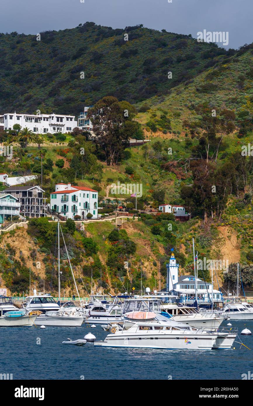 Avalon City, Catalina Island, Südkalifornien, USA Stockfoto