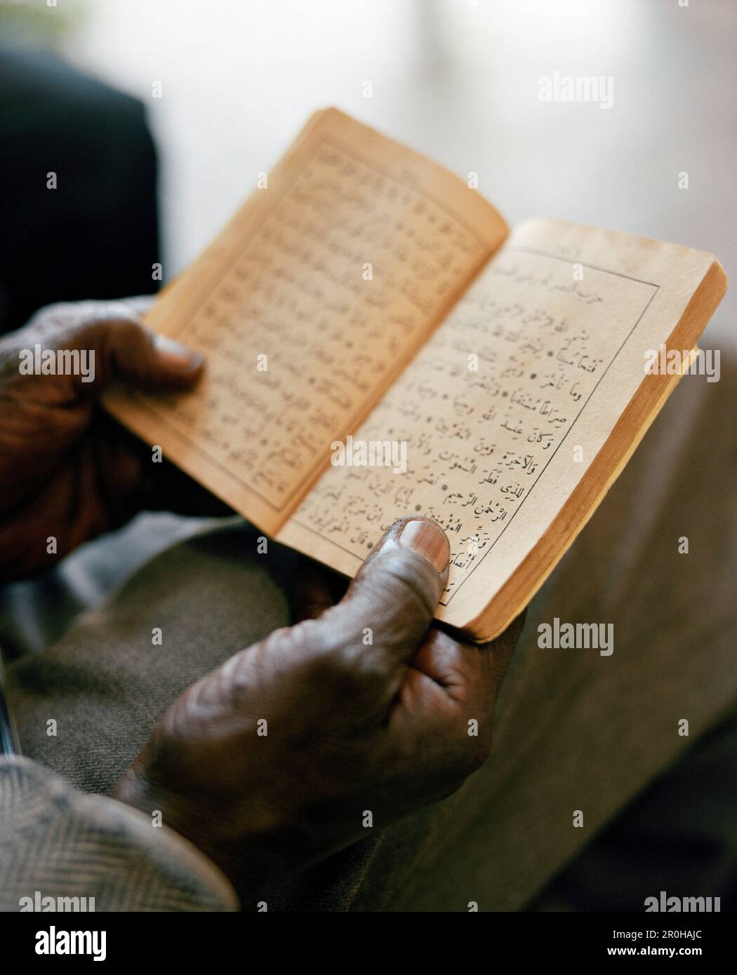 ERITREA, Asmara, die Hände von Abdullah Omar, die den Koran im Postamt von Asmara halten Stockfoto