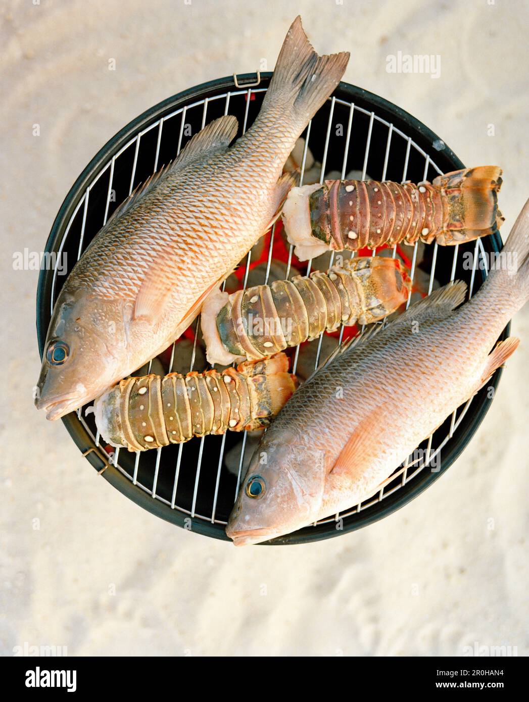 USA, Florida, Fisch und Hummerschwänze auf dem Grill, Nahaufnahme, Islamorada Stockfoto