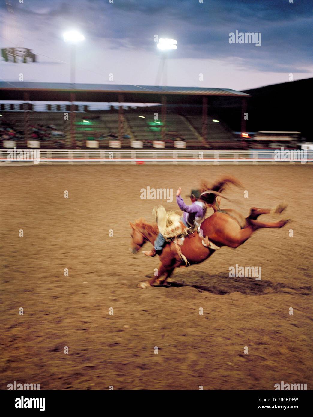 USA, Wyoming, Saddle Bronc Rider beim Cody Rodeo Stockfoto