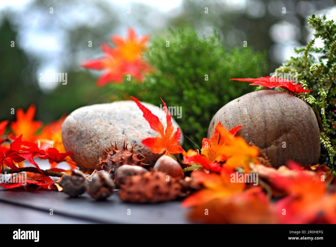 Kastanien, Steine und Herbstblätter auf einem Gartentisch, Deutschland Stockfoto