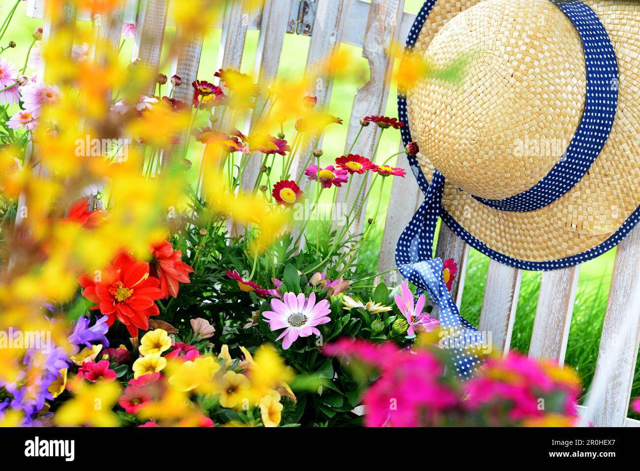 Farbenfroher blühender Garten mit Holzzaun und Strohhut, Deutschland Stockfoto