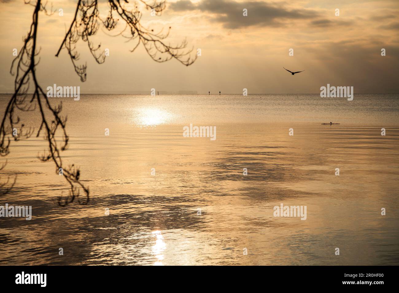 Sonne im Bodensee, Deutschland, Bayern Stockfoto