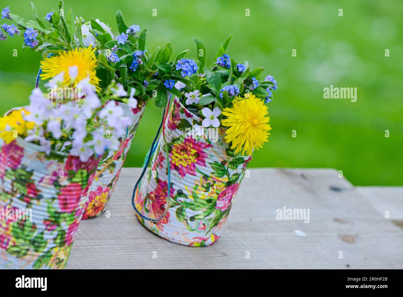 Wood Forget-Me-Not, Forest Forget-Me-Not (Myosotis sylvatica), blühende Forget-Me-Nots, Moor Pink und Löwenzahn in bunt bemalten Blechdosen, Stockfoto
