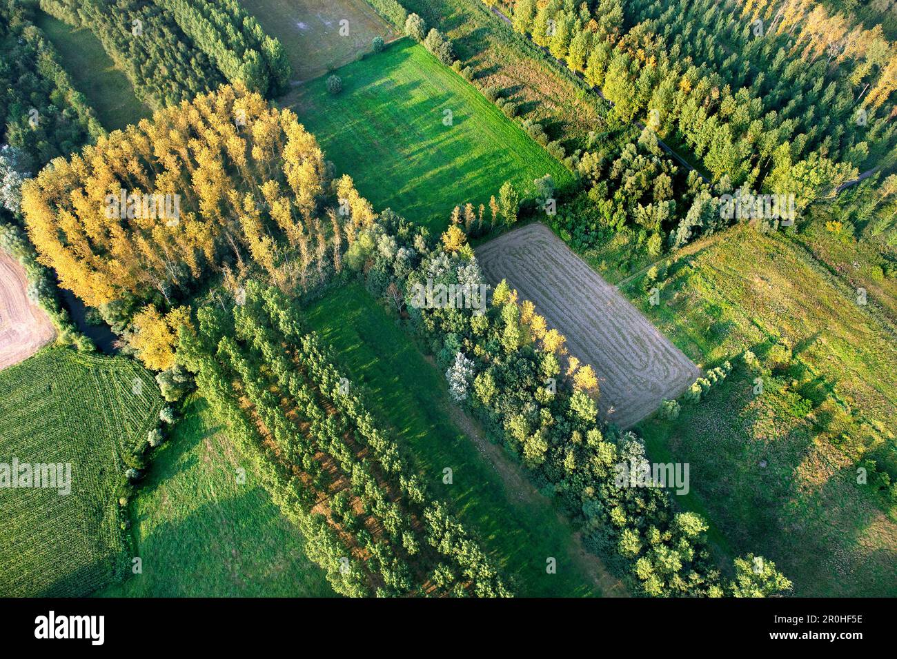 Vlassenbroekse Polder, Luftaufnahme, Belgien, Ostflandern, Vlassenbroekse Polder, Baasrode Stockfoto