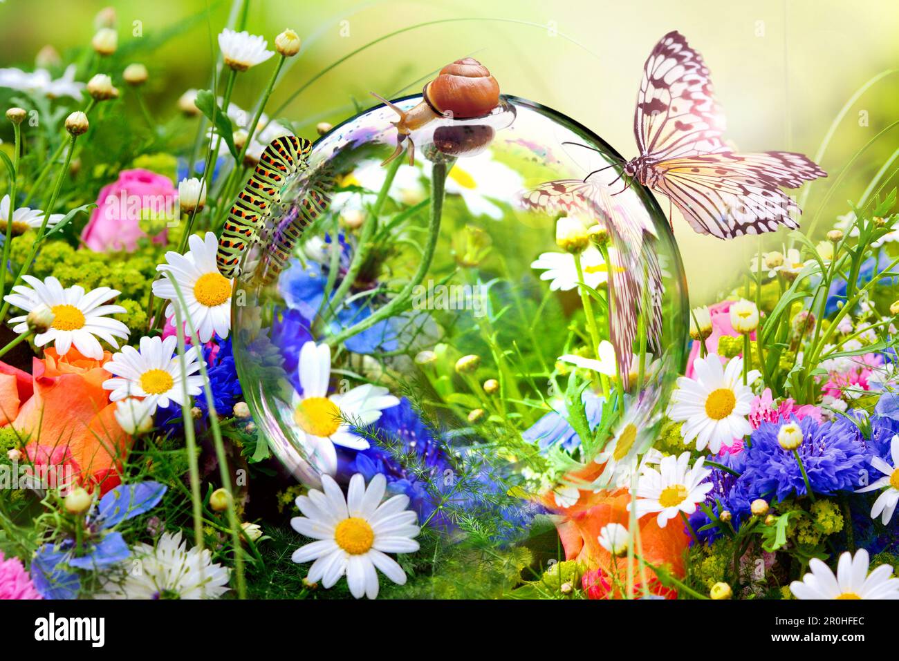 Glaskugel inmitten von Blumen mit Raupe, Schmetterling und Schnecke Stockfoto