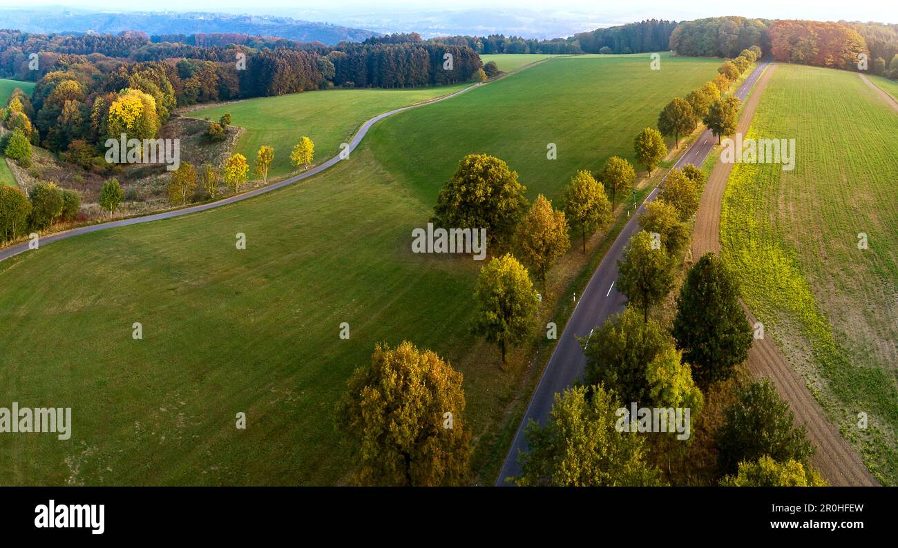 Landwirtschaftliche Berglandschaft im Abendlicht, 2018-10-19, Luftbild, Deutschland, Nordrhein-Westfalen, Bergisches Land Stockfoto