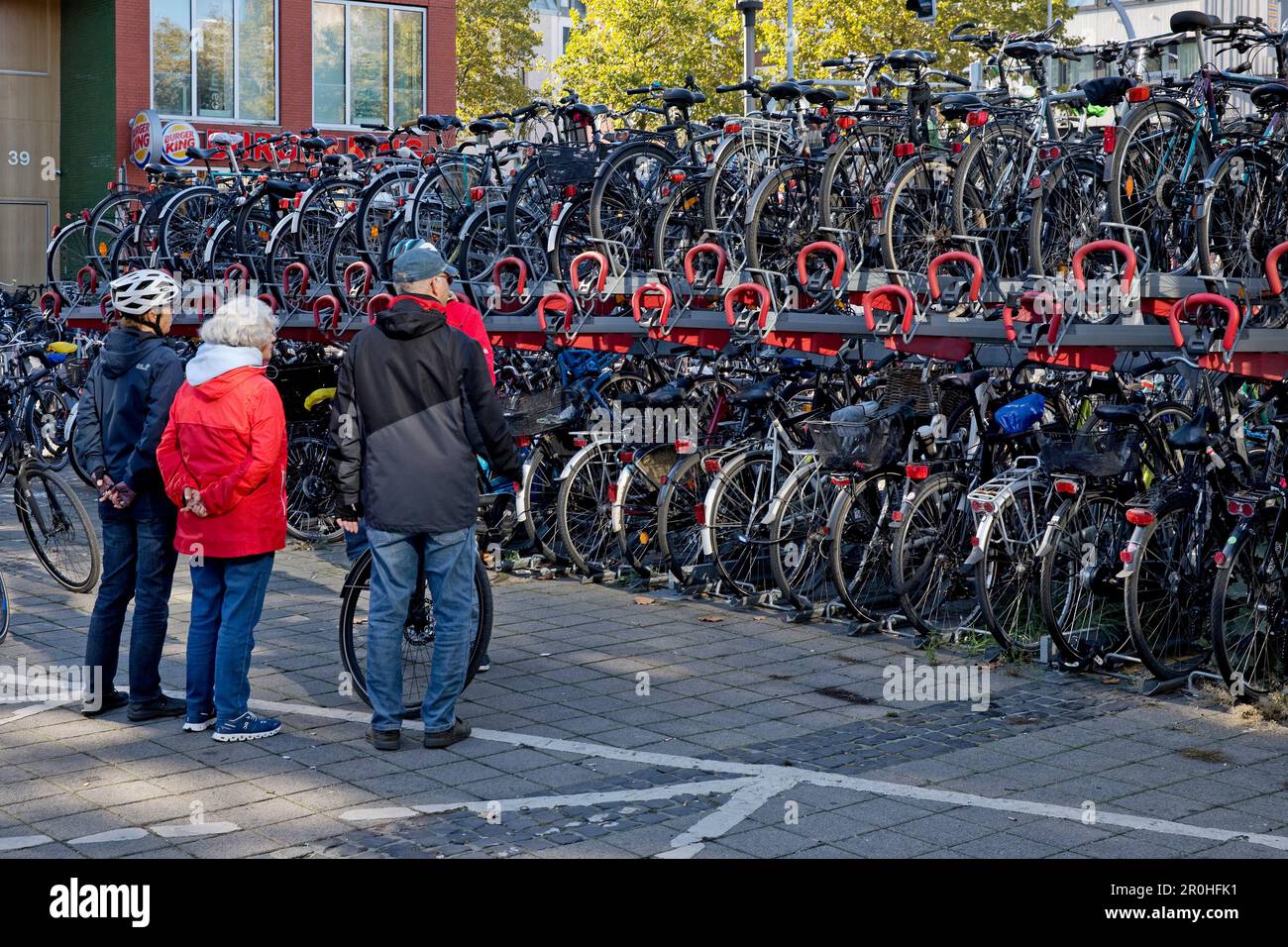 Viele Fahrräder an der Fahrradstation am Hauptbahnhof, Deutschland, Nordrhein-Westfalen, Munster Stockfoto