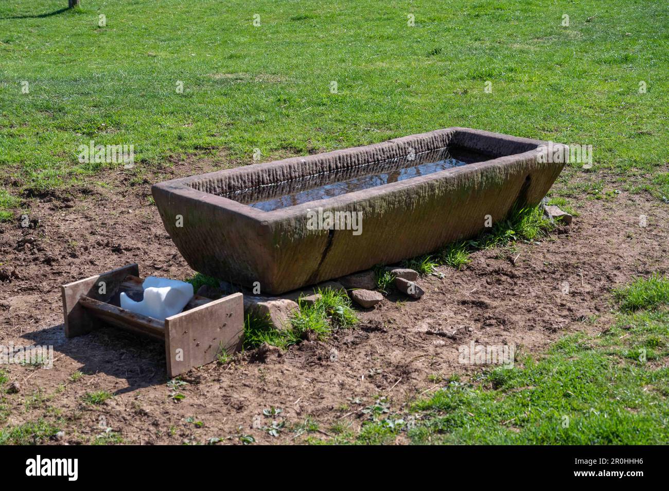 Rustikaler langer Steinwassertrog und Salzleck in grünem Grasbauernhof Stockfoto