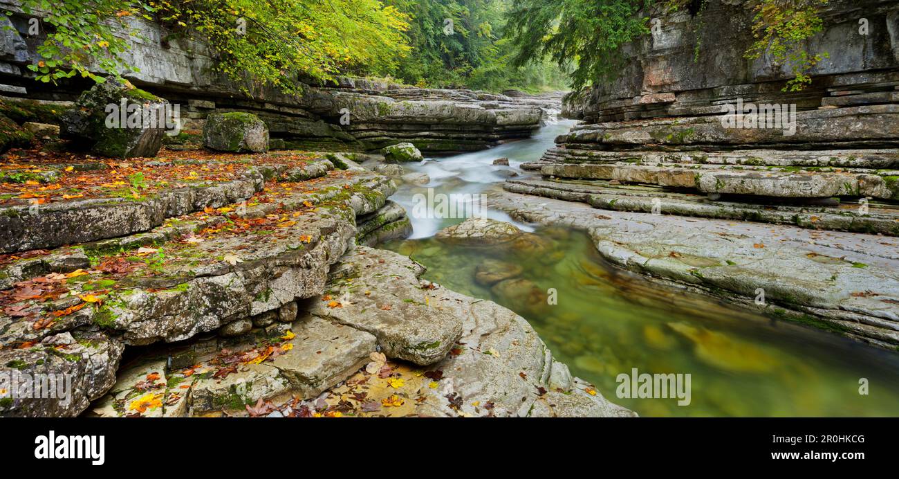 Tauglbach, der durch eine Schlucht fließt, Hallein, Salzburg Land, Österreich Stockfoto