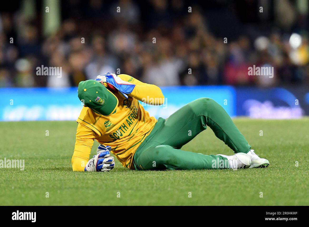 Sydney, Australien, 3. November 2022. Quinton de Kock aus Südafrika verletzt sich, nachdem er am 03. November 2022 beim Cricket-Spiel der ICC Men's World Cup T20 zwischen Pakistan und Südafrika auf dem Sydney Cricket Ground in Sydney, Australien, für einen Fang getaucht ist. Kredit: Steven Markham/Speed Media/Alamy Live News Stockfoto