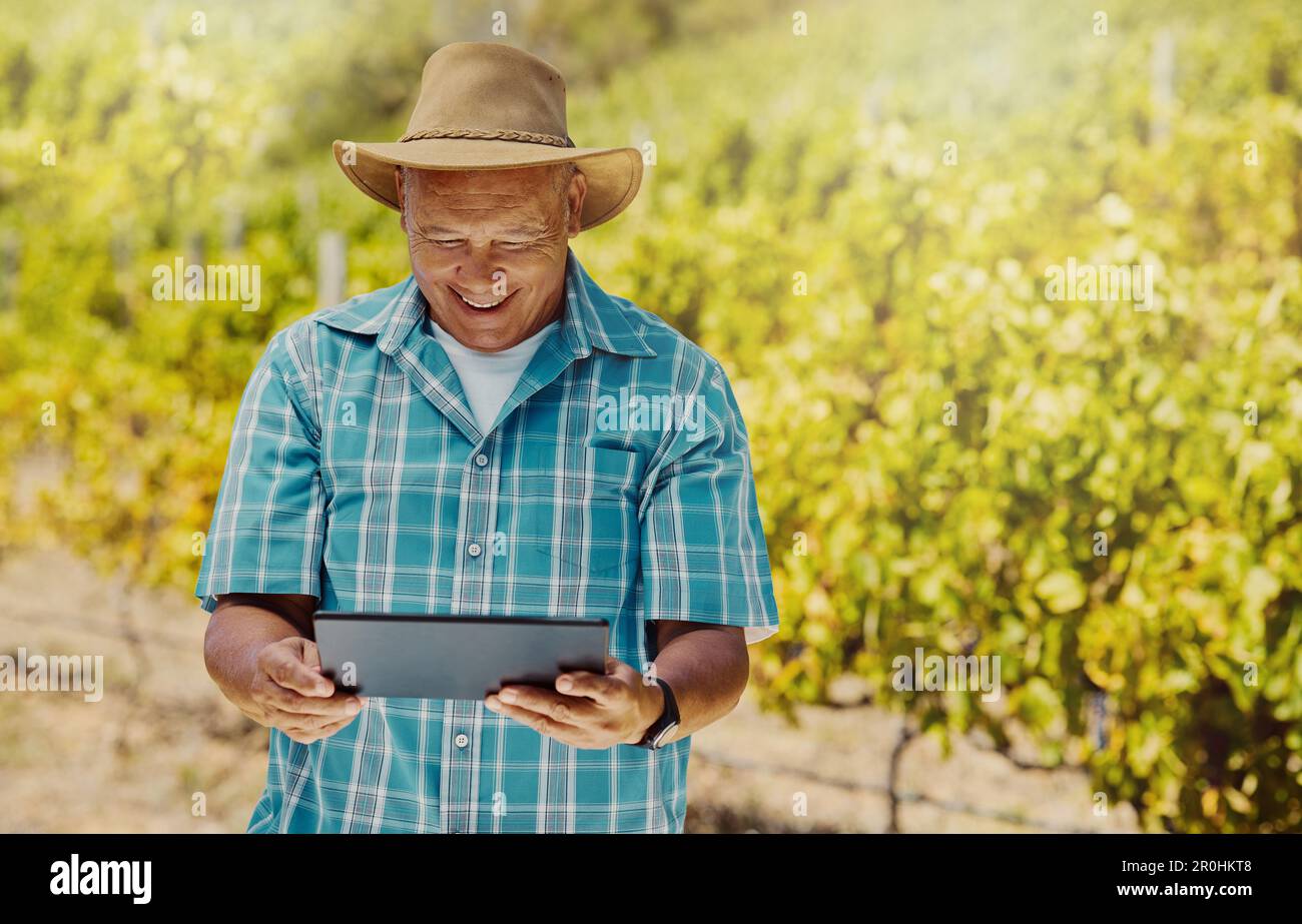 Lächelnder älterer gemischter Landwirt mit einem digitalen Tablet auf seinem Weinberg. Älterer hispanischer Mann, der allein steht und Technologie auf einer Weinfarm verwendet Stockfoto