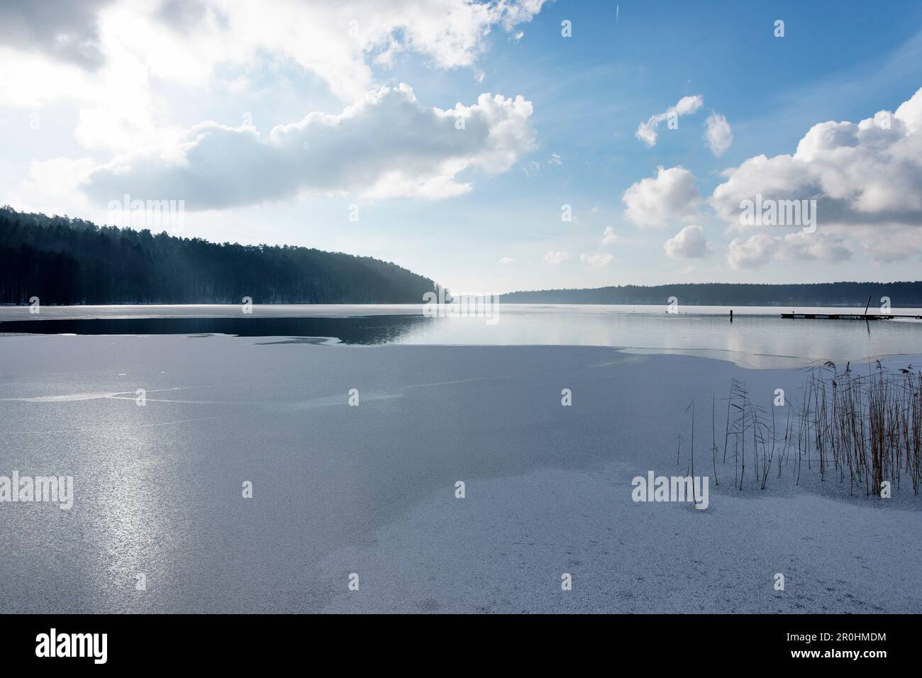 Ufer des Sees Werbellinsee in Winter, Joachimsthal, Schorfheide Biosphere Reserve, Uckermark, Brandenburg, Deutschland Stockfoto
