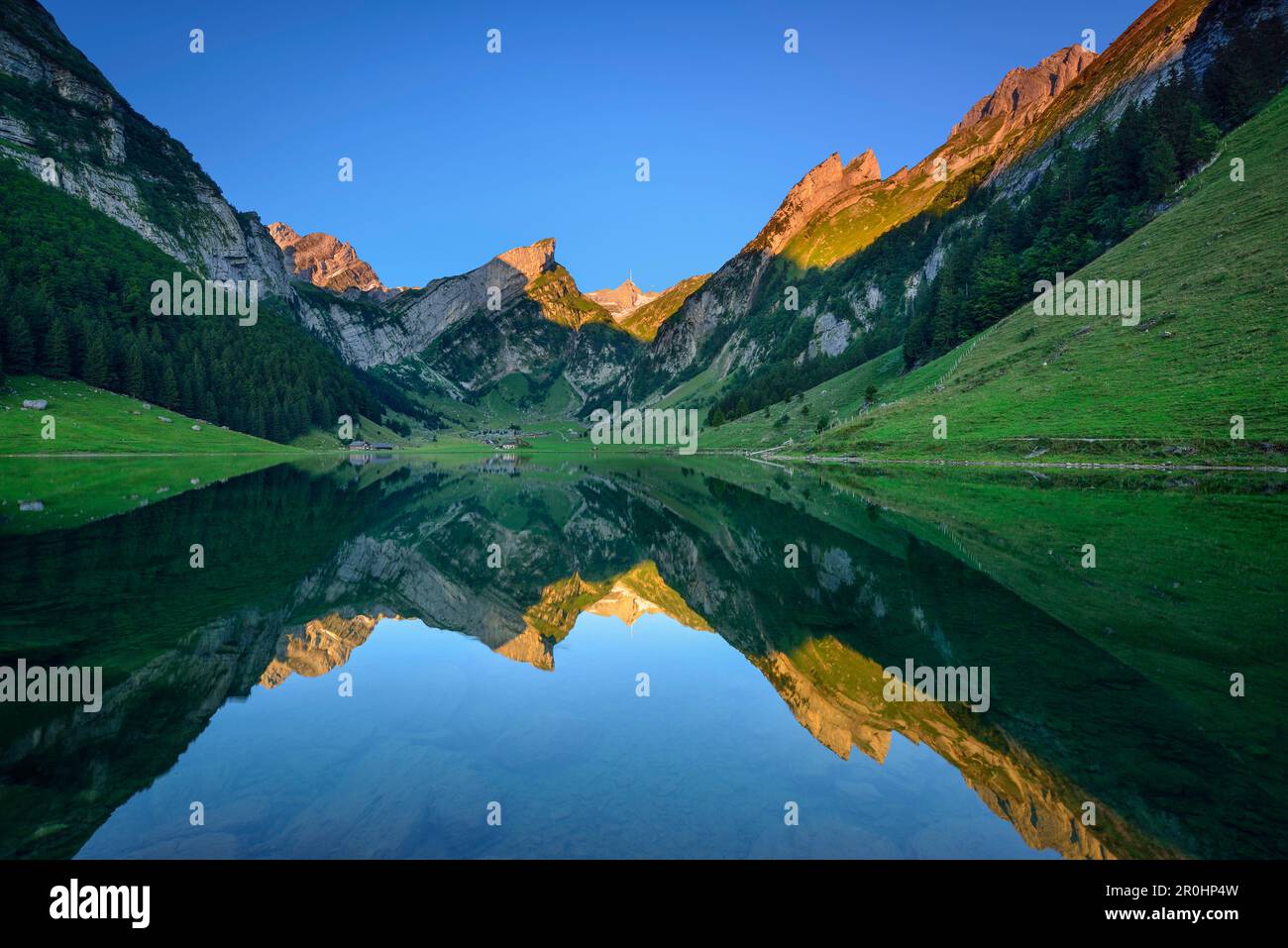 Blick über den See Seealpsee Berg Säntis, Alpstein, Appenzeller Alpen, Kanton Appenzell Innerrhoden, Schweiz Stockfoto