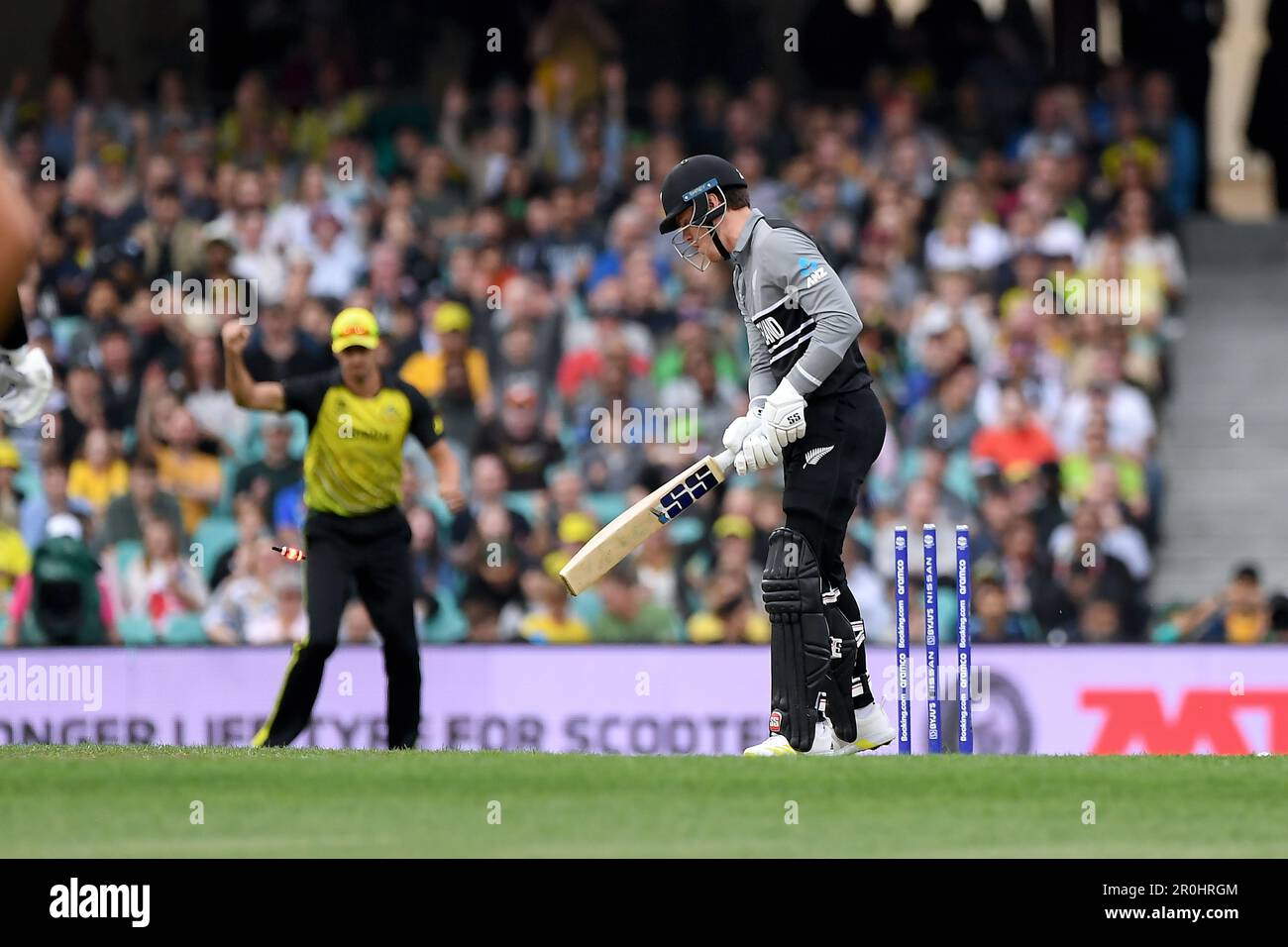 Sydney, Australien, 22. Oktober 2022. Finn Allen aus Neuseeland bowlte von Josh Hazlewood aus Australien während des ICC Men's World Cup Cricket-Spiels T20 zwischen Australien und Neuseeland auf dem Sydney Cricket Ground am 22. Oktober 2022 in Sydney, Australien. Kredit: Steven Markham/Speed Media/Alamy Live News Stockfoto