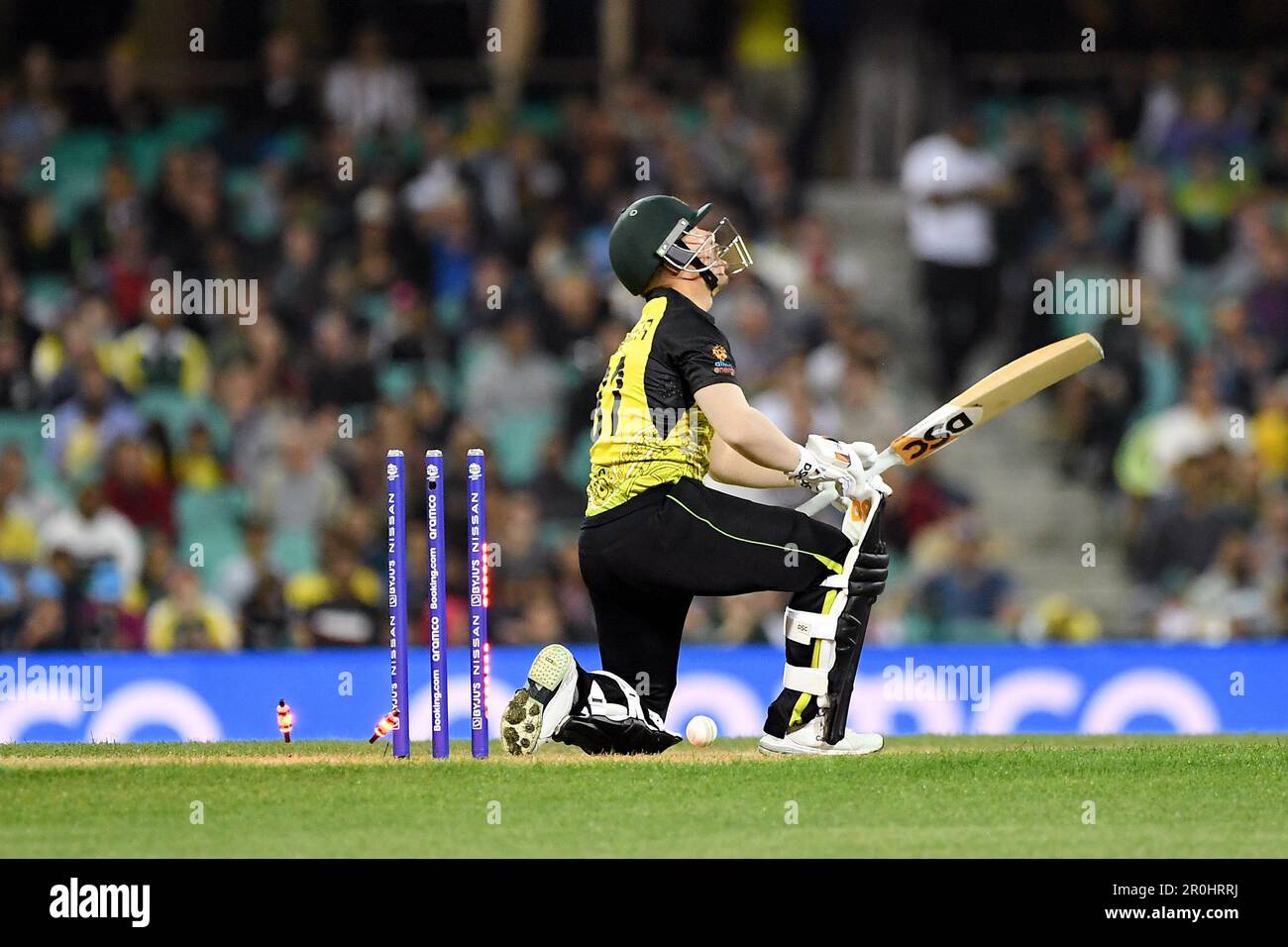 Sydney, Australien, 22. Oktober 2022. David Warner aus Australien bowlte von Tim Southee aus Neuseeland während des ICC Men's World Cup Cricket-Spiels T20 zwischen Australien und Neuseeland auf dem Sydney Cricket Ground am 22. Oktober 2022 in Sydney, Australien. Kredit: Steven Markham/Speed Media/Alamy Live News Stockfoto