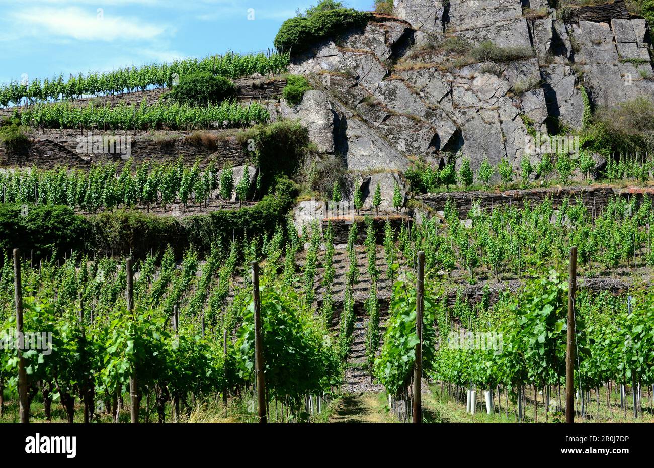 Landschaft in der Nähe von Dernau im Ahr-Tal, Eifel, Rheinland-Pfalz, Deutschland Stockfoto