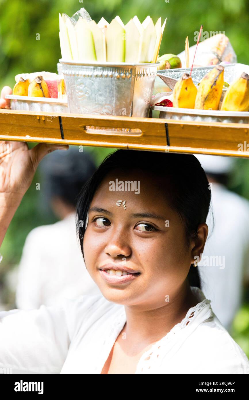 Junge Frau, die das Fach mit Opfergaben auf dem Kopf, odalan Tempelfest, Munduk, Bali, Indonesien Stockfoto