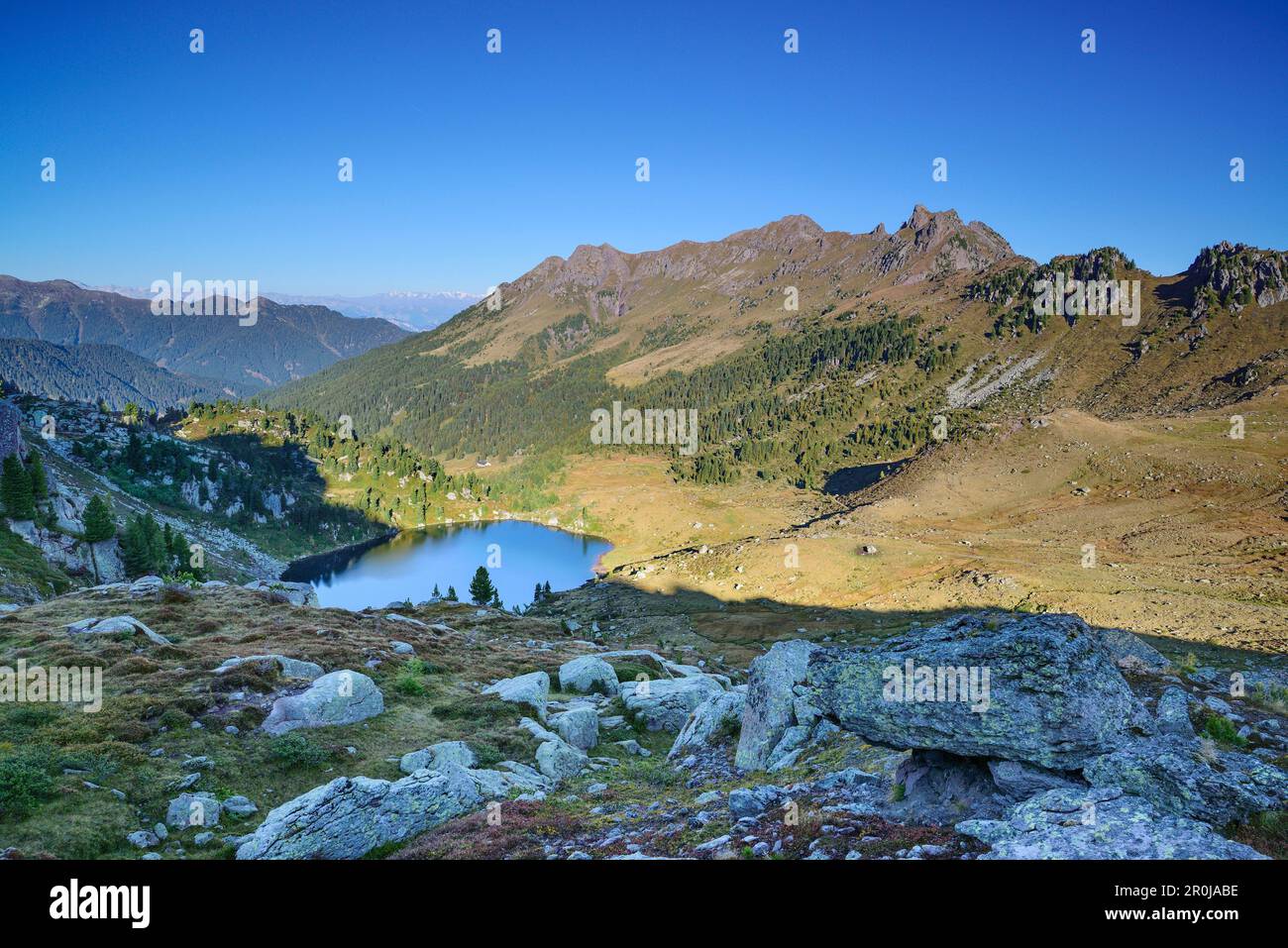 Blick auf Lago delle Stellune, Trans-Lagorai, Lagorai Range, Dolomiten, UNESCO-Weltkulturerbe Dolomiten, Trentino, Italien Stockfoto