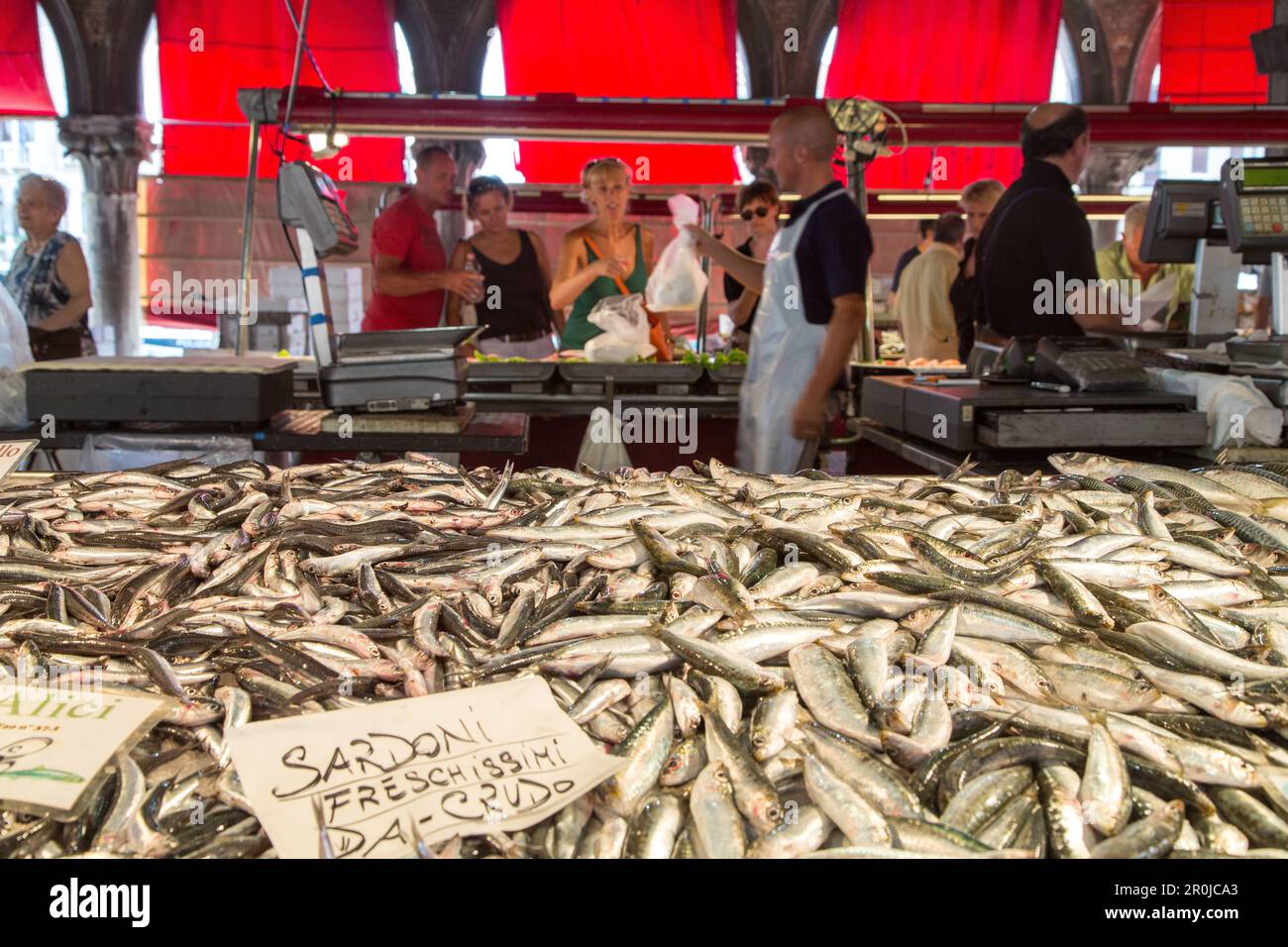 Frische Sardinen, Fischstände, Rialto-Fischmarkt, Mercato di Rialto, rote Markisen, Venedig, Italien Stockfoto