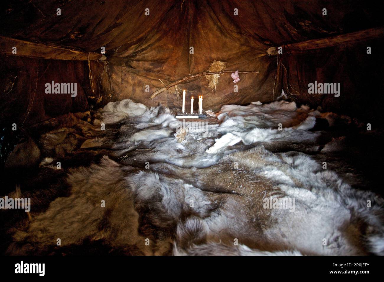 Polok, ein Schlafbereich in Yaranga, das Zelt der Rentier-Nomaden, mit Rentierfellen, Chukotka Autonomer Okrug, Sibirien, Russland Stockfoto