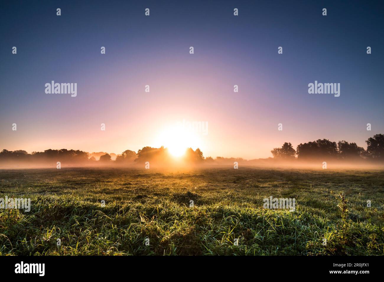 Sunrise, Worpswede, Teufelsmoor, Niedersachsen, Deutschland Stockfoto