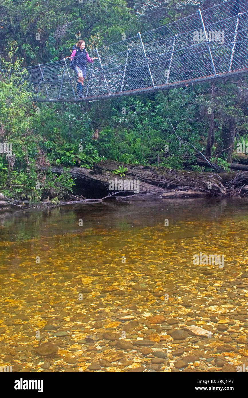 Überqueren Sie den Franklin River auf dem Weg zum Frenchmans Cap Stockfoto