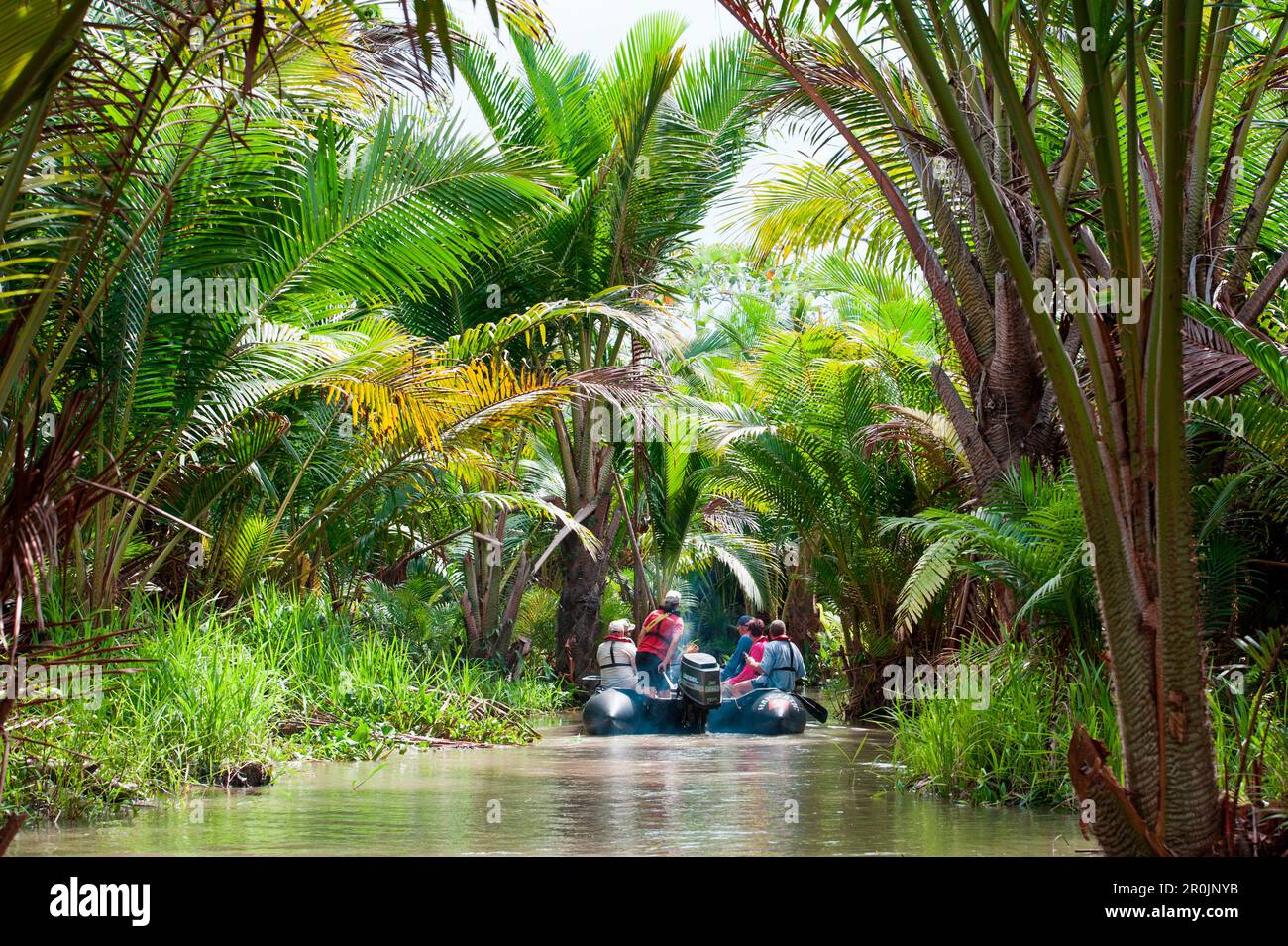 Ausflug mit dem Zoodiac-Dingi vom Expeditionsschiff MS Hanseatic (Hapag-Lloyd Cruises) durch den üppigen Dschungel, Kopar, East Sepik Province, Papua New Guin Stockfoto